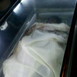 mahalakshmi-killed-by-tiger-7