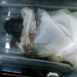 mahalakshmi-killed-by-tiger-8