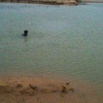 kollidam-river-sand-mafia-11