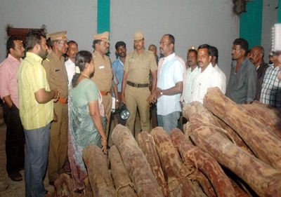 செம்மரக் கடத்தல் செம்மரக் கடத்தல்