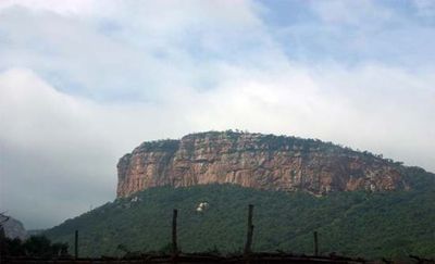 சேஷாச்சலம் வனப்பகுதி சேஷாச்சலம் வனப்பகுதி