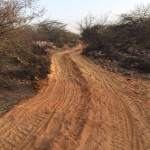 aravalli-hills-ravaged-5