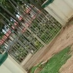 dattu-bangalore-palatial-house-1
