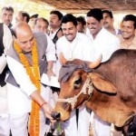 rajnath-cow-worship