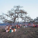tribal-forest-rights
