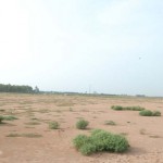 cuddalore-sima-project-08