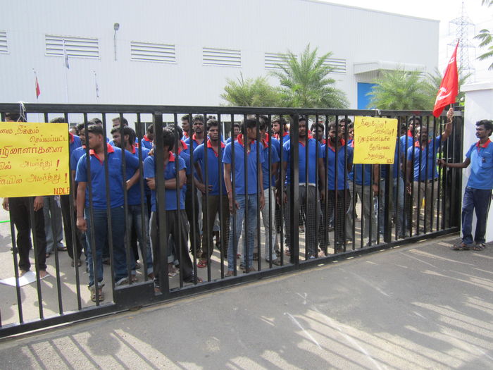 கிரீடோ மோல்ட்ஸ் கிரீடோ மோல்ட்ஸ்