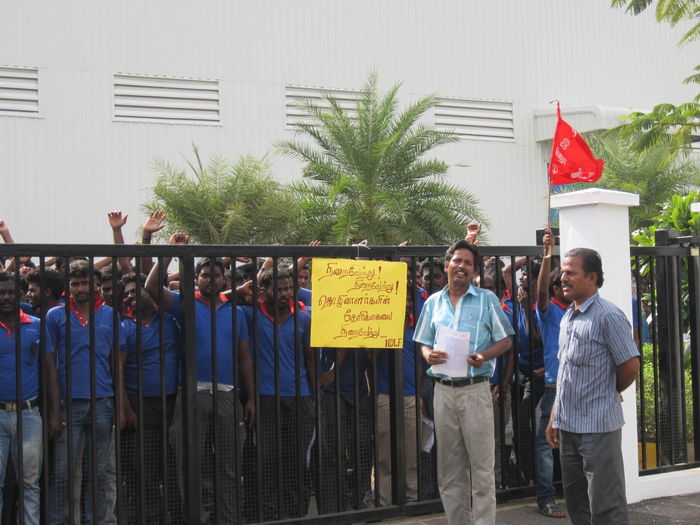 கிரீடோ மோல்ட்ஸ் கிரீடோ மோல்ட்ஸ்