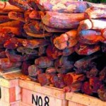 செம்மரம் கடத்தும் டி.எஸ்.பி – இதுதாண்டா போலீசு