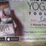 jaggi-yoga-day-chennai-17