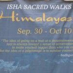 jaggi-yoga-day-chennai-36
