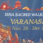 jaggi-yoga-day-chennai-37