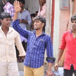 kangeyam (2)