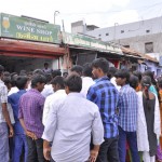 kangeyam (3)