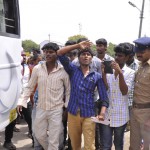 kangeyam (4)