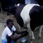 பால் விவசாயிகளைக் கொல்லும் கார்ப்பரேட் நிறுவனங்கள்!