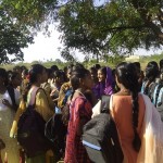 nellai hindu college 3