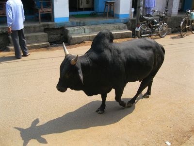 பெரியார் சுடர் பெரியார் சுடர்