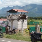 lower-camp-liquor-shop-siege-09