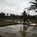 cuddalore-floods-15