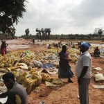 cuddalore-floods-23