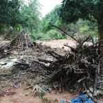 cuddalore-floods-26