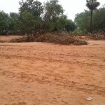 cuddalore-floods-7