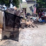 kovan-arrest-black-flag-demo-5
