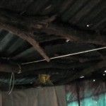 moonar-tea-estate-workers-04