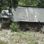 moonar-tea-estate-workers-07