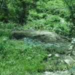 moonar-tea-estate-workers-09