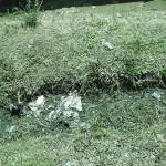 moonar-tea-estate-workers-10