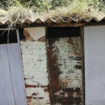 moonar-tea-estate-workers-12