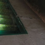 moonar-tea-estate-workers-20