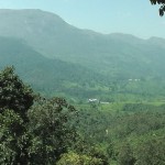 moonar-tea-estate-workers-23