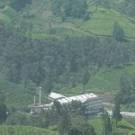 moonar-tea-estate-workers-25