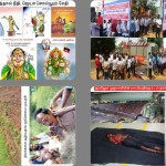 nov7-ndlf-tvlr-coll-10