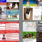 nov7-ndlf-tvlr-coll-12