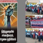 nov7-ndlf-tvlr-coll-16