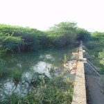 tuticorin-flood-05