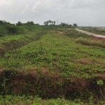 cuddalore-floods-1
