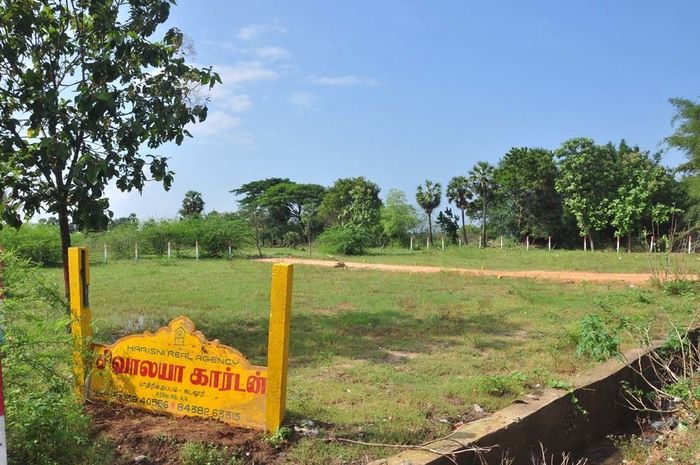 kedilar-river-encroachment-2