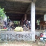 rain-relief-kanchi-ndlf-19