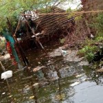 thamaraikulam-ooralkarai medu (11)