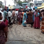 thamaraikulam-ooralkarai medu (3)