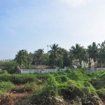 ஆற்றின் பாதியை ஆக்கிரமித்துள்ள காட்சி
