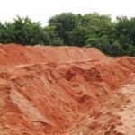ஆற்றில் உள்ள முந்தரி தோப்பு