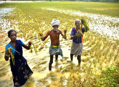 கடலூர் வெள்ளம் கடலூர் வெள்ளம்