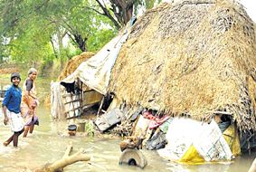 கடலூர் வெள்ளம் கடலூர் வெள்ளம்
