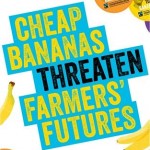 banastat-fairtrade-bananas-uk